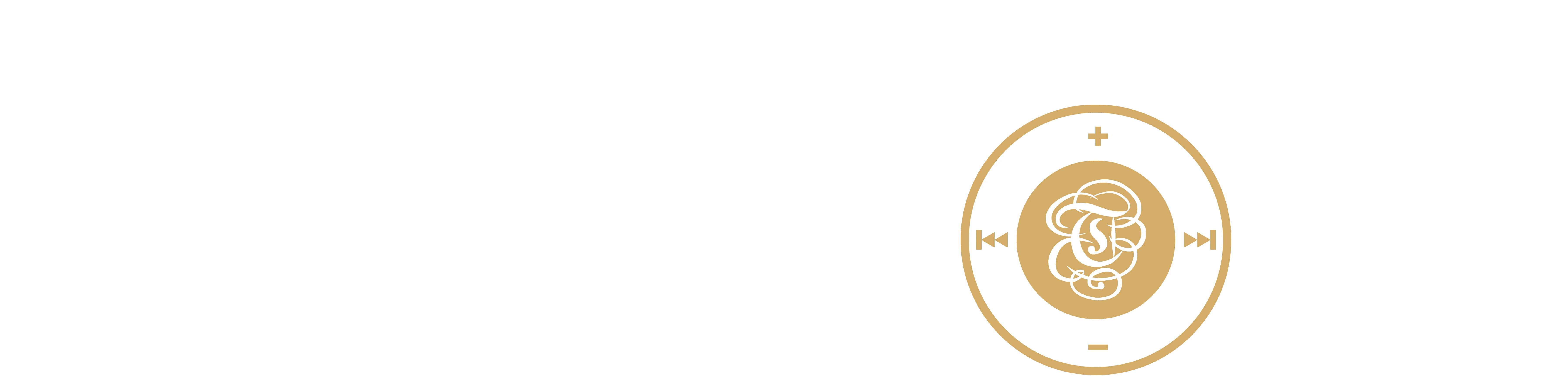 aaer-logo